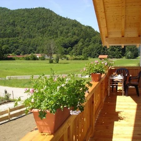 Ferienhaus Beyer 安特沃森 外观 照片