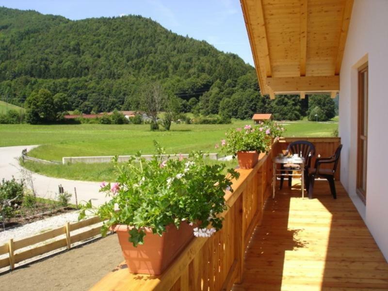 Ferienhaus Beyer 安特沃森 外观 照片